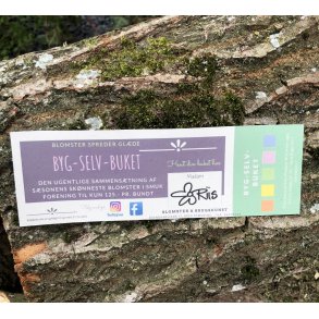 Gavekort til BYG - SELV - BUKET