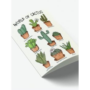 World of Cactus
